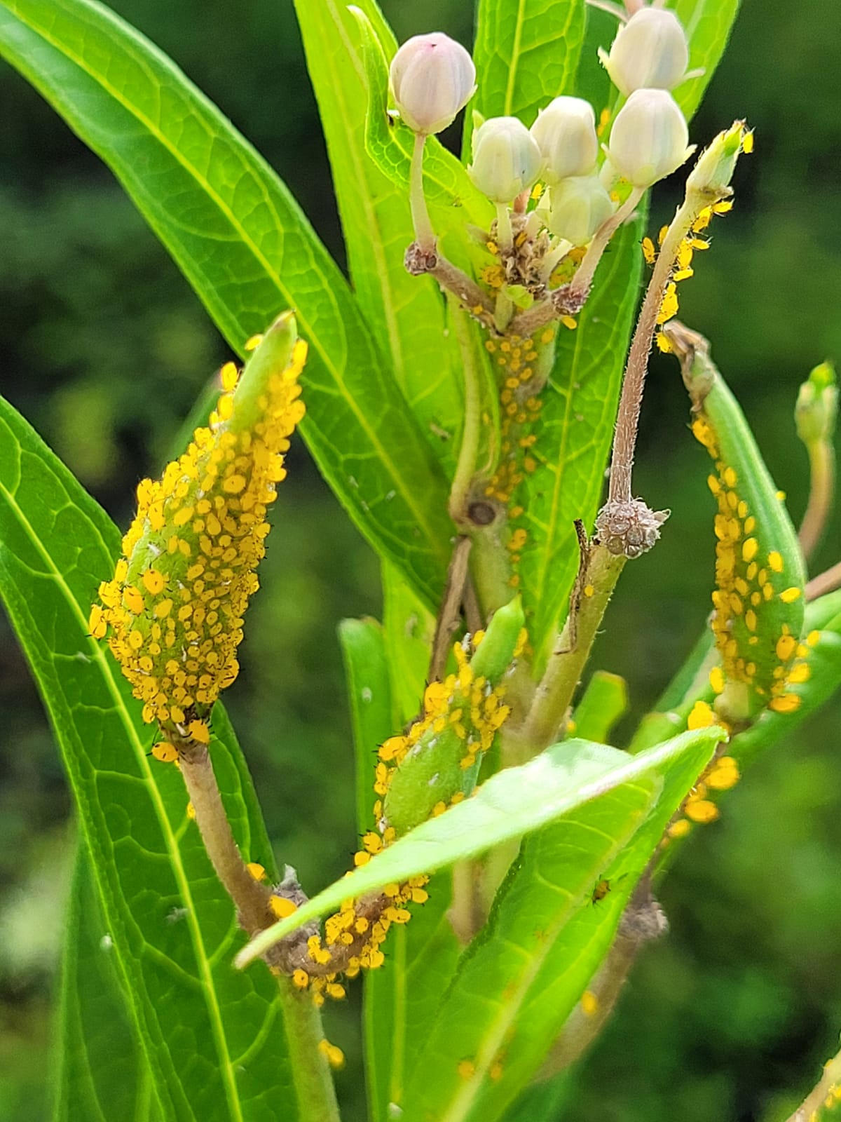 RBF: The Type of Demeanor You Don't Expect from a School Principal