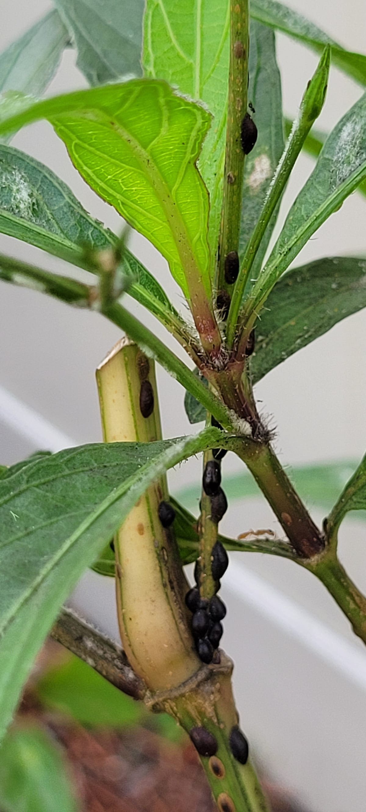 Walking into a Burning Building: When You Ignore Your Intuition After a Job Interview