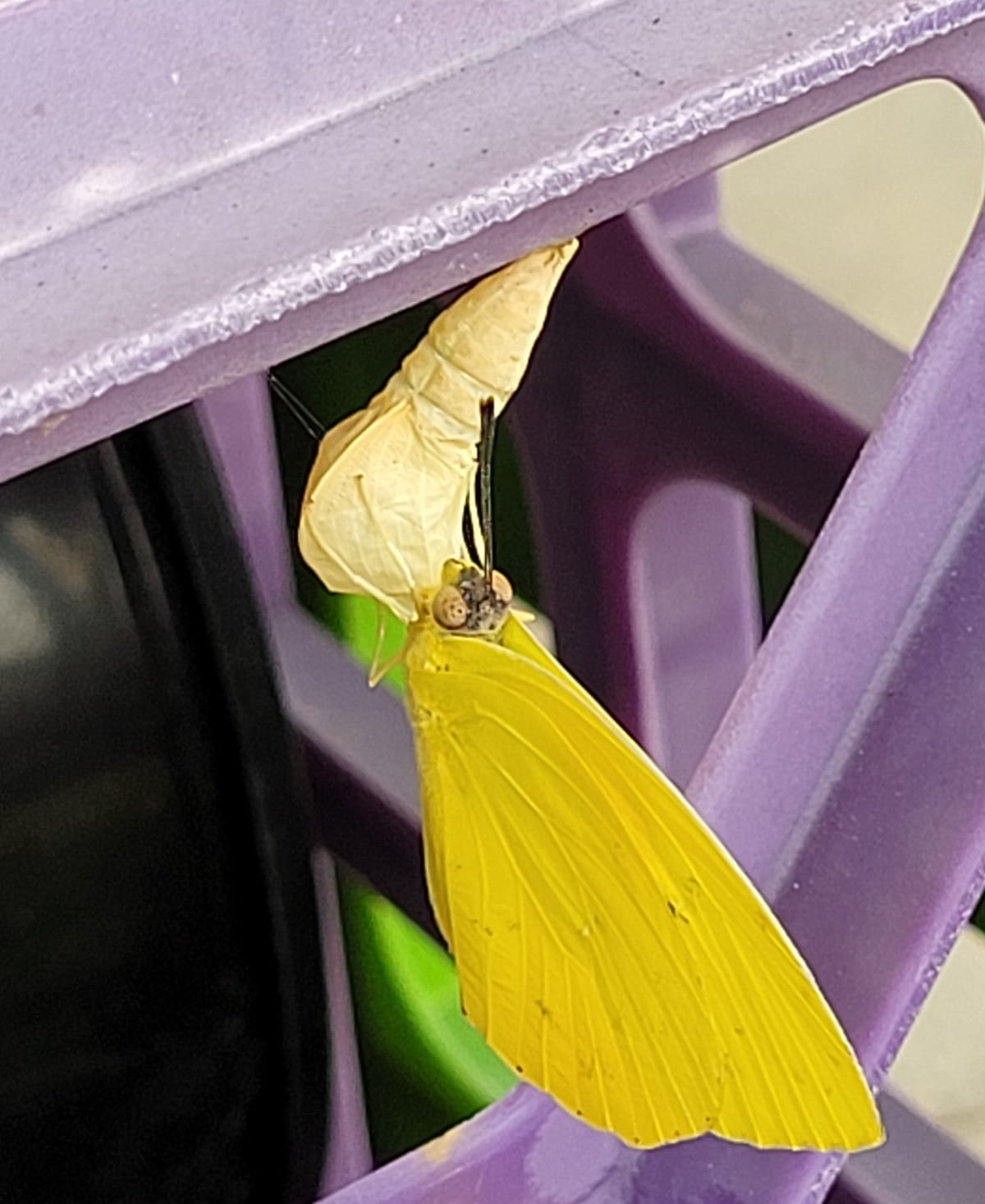 Termination: When You Get Aborted at Work