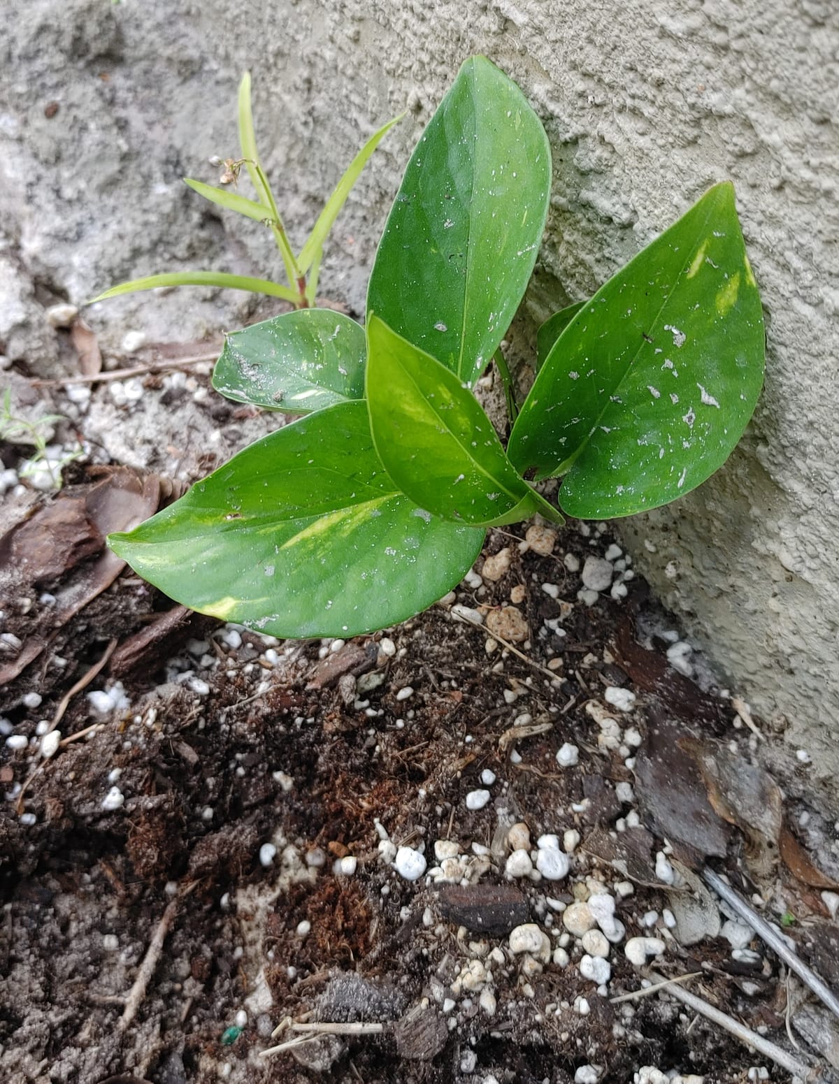 Paid Leave: Hillsborough County Public Schools Says, Don't Use It