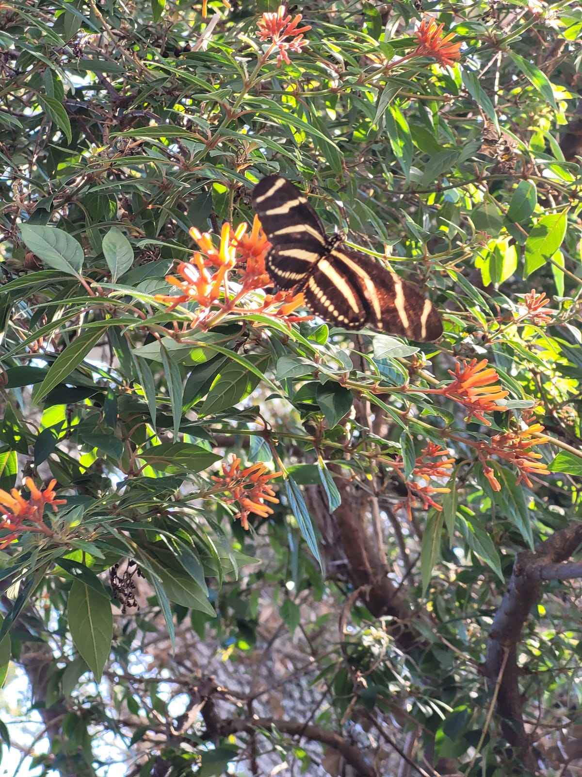 How to Cope While Working in Public Schools: Walk