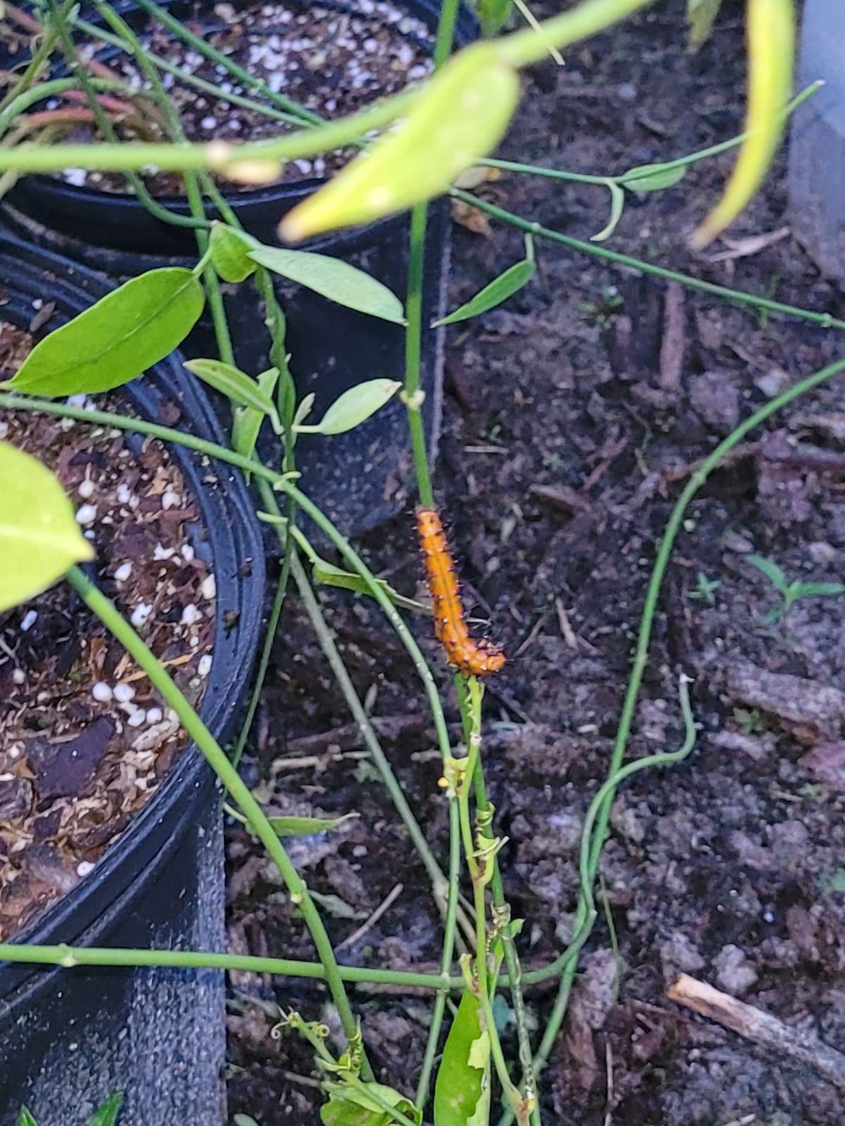 Graduate Degrees are NOT for Teachers