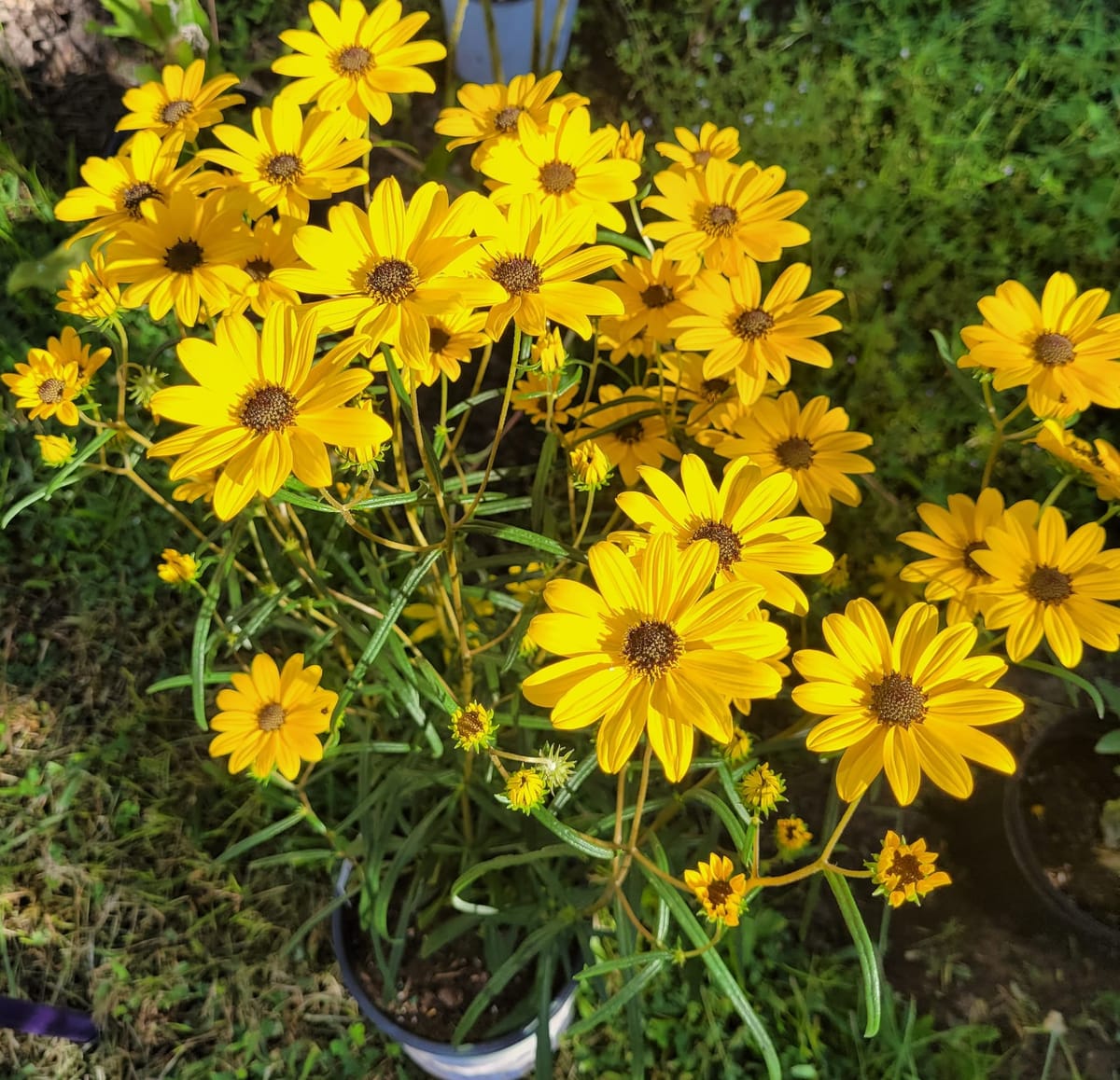 What Do Public School Principals Do? I Finally Found Out.