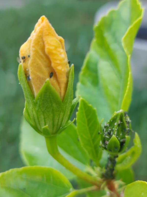 The Behavior Specialist: A Shit Job in Public Schools