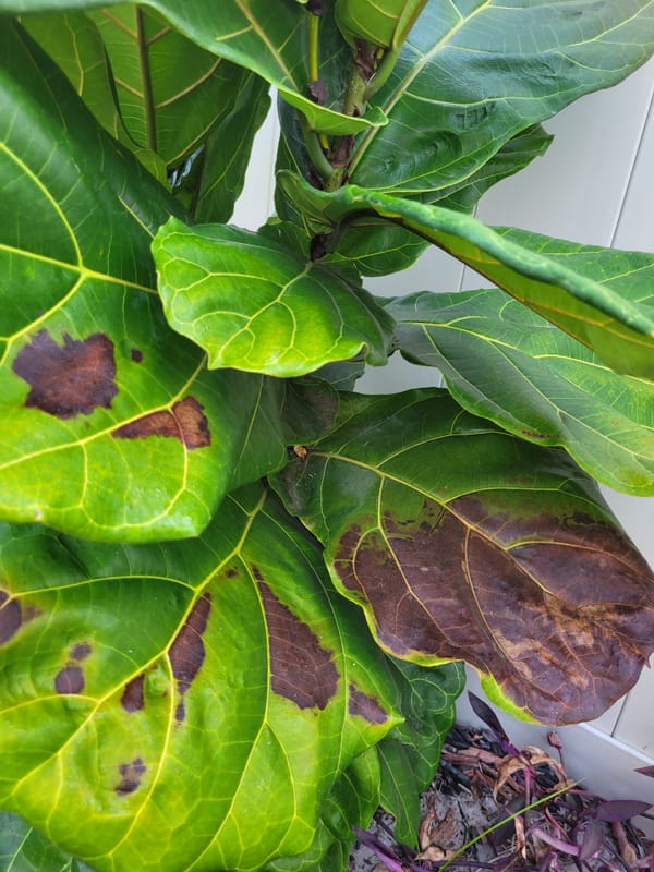 How to Cope While Working in Public Schools: Leave for Lunch