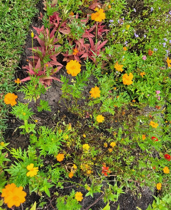 Termination vs. Resignation